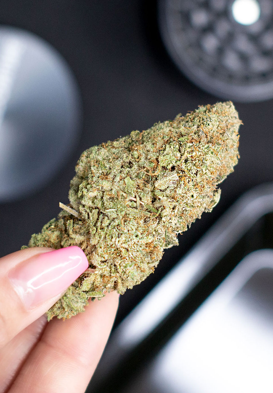 EZWEED ONLINE LEAVE A REVIEWS EZ Weed Online