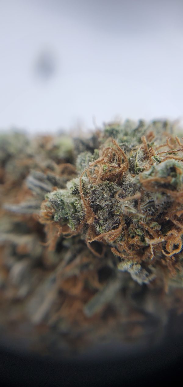 Buy Mimosa Flower Closeup EZ Weed Online