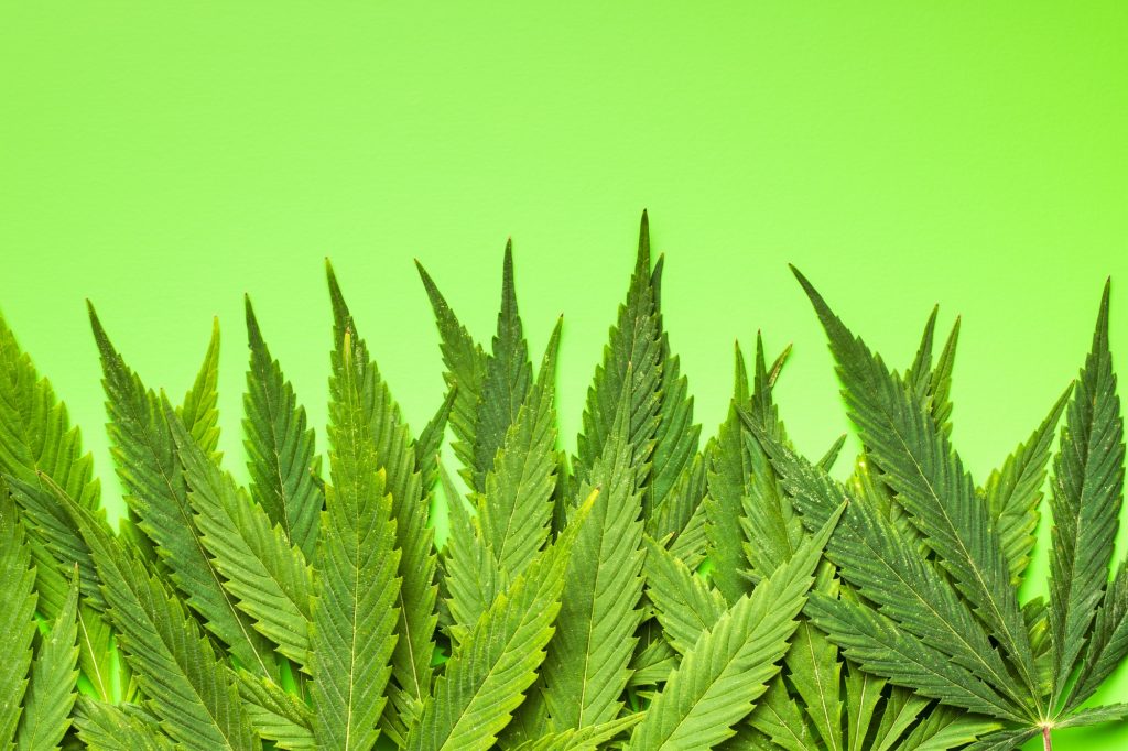marijuana industry