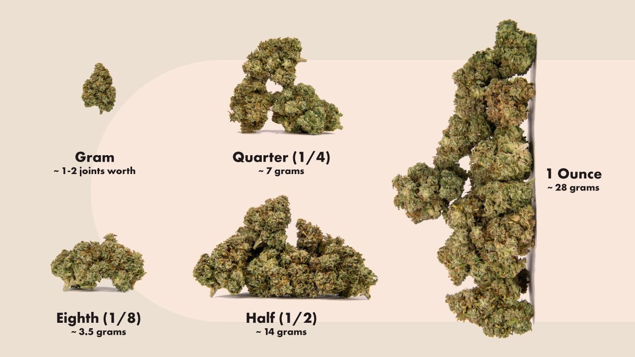 Weed Measurements Guide Cannabis and Marijuana Quantities