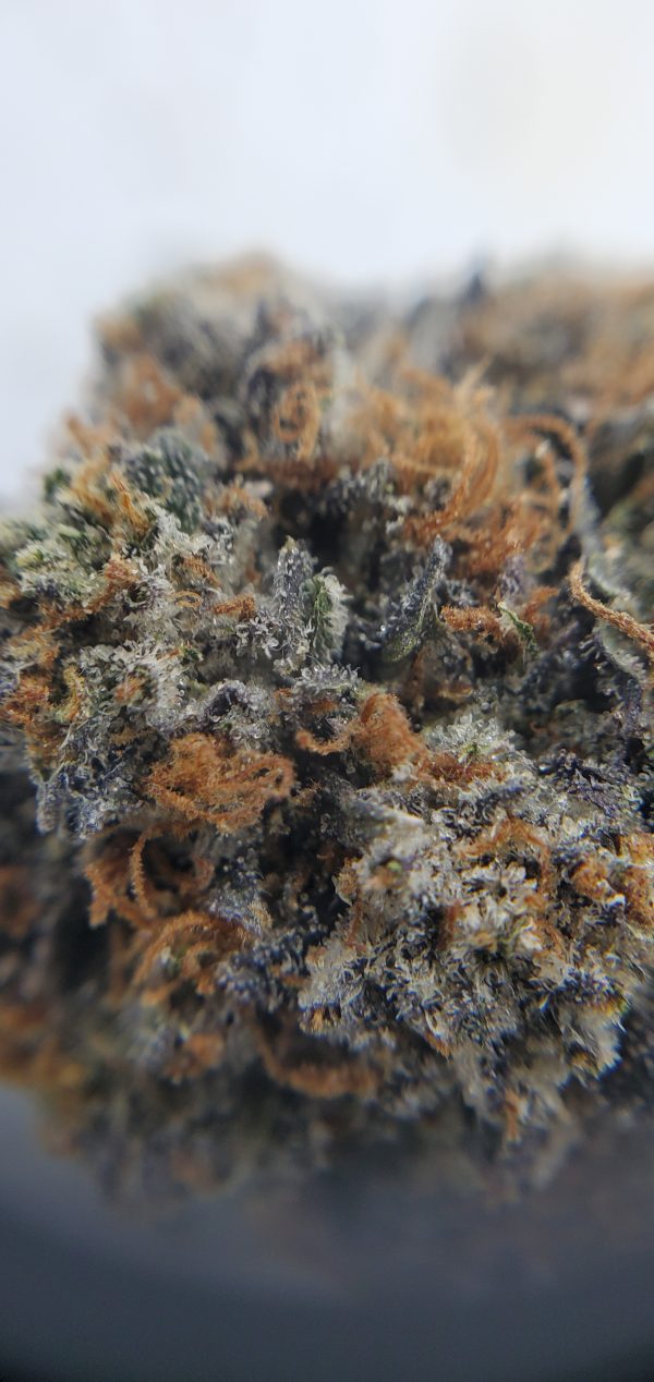 Buy White Widow Closeup EZ Weed Online