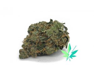 Skywalker OG