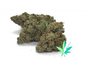 Skywalker OG