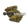 buy 99 oz duke weed online