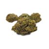 Purple God Flower Product Photo