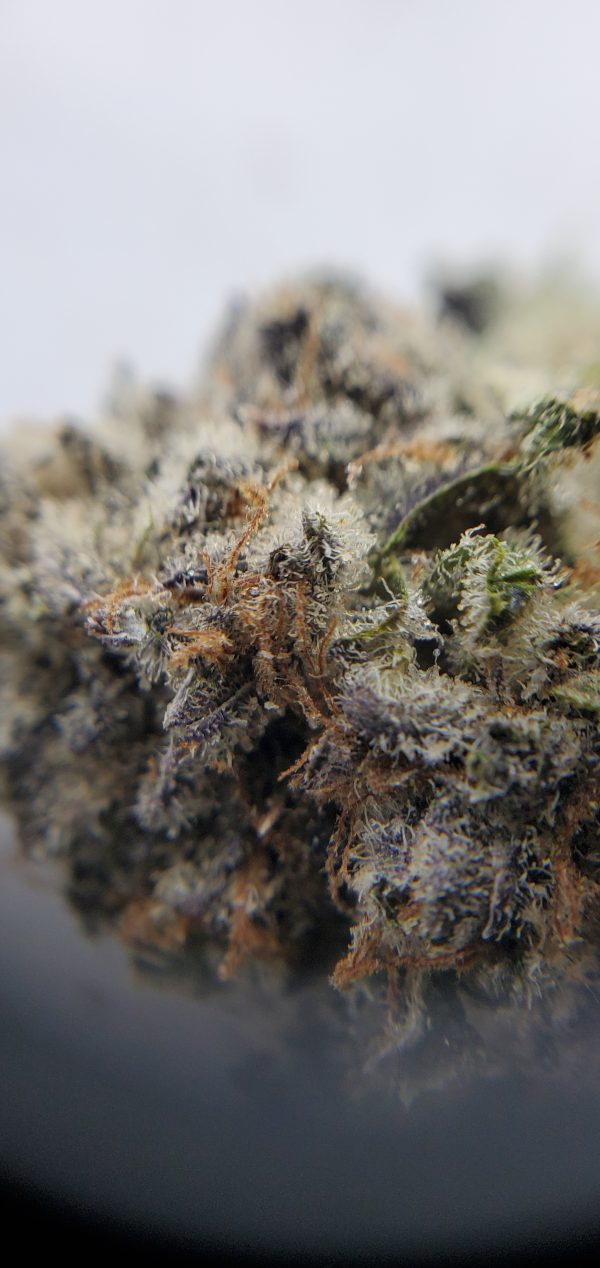 Buy Mimosa by Gastown Collective Close Up EZ Weed Online