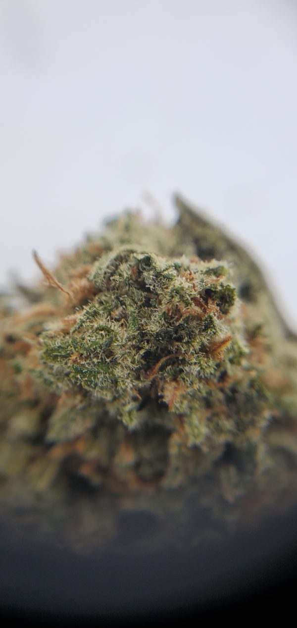 Buy Rockstar 99 Oz Deal EZ Weed Online Closeup