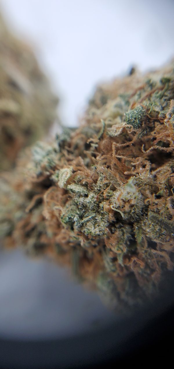 Buy Couchlock EZ Weed Online Closeup