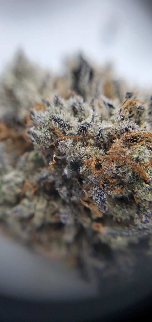 Buy Thin Mint Girl Scout Cookies Closeup EZ Weed Online