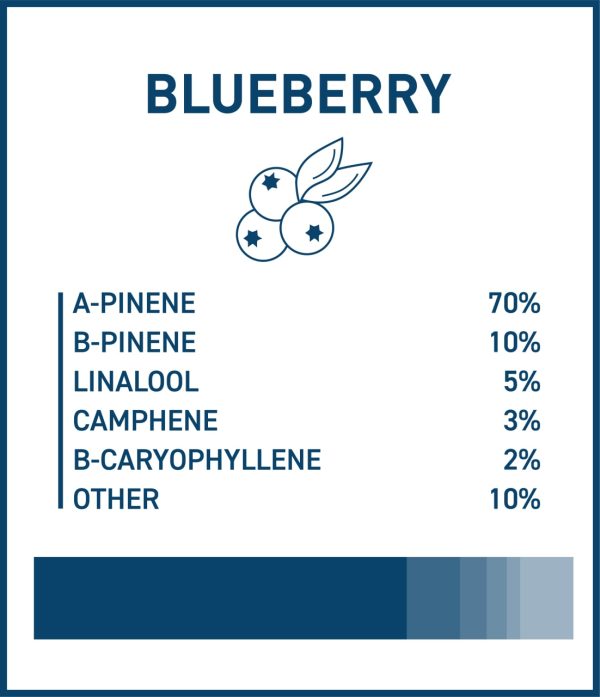 Buy Boost THC Vape Blueberry Profile
