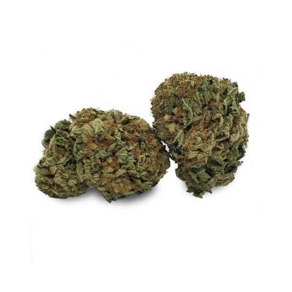 Buy G13 EZ Weed Online