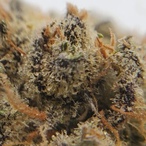Buy Shop Online - EZ Weed Online Cannabis Dispensary