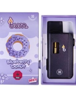 Burn Disposable Vapes - Blueberry Donut 3ML