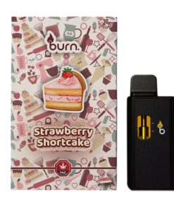 Burn Disposable Vapes - Strawberry Shortcake 3ML