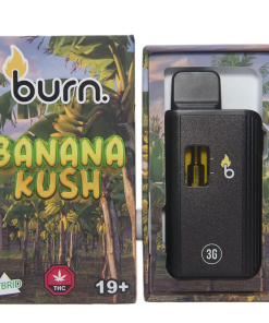 Burn Disposable Vapes - Banana Kush 3ML