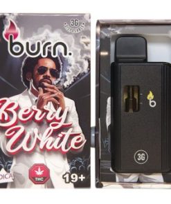 Burn Disposable Vapes - Berry White 3ML