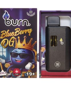 Burn Disposable Vapes - Blueberry OG 3ML