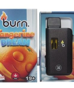 Burn Disposable Vapes - Tangerine Dream 3ML