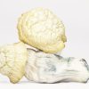 Shakti (shrooms)