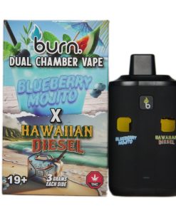 Burn Dual Chamber Disposable Vape – Blueberry Mojito x Hawaiian Diesel 6G