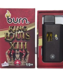 Burn Disposable Vapes - King Louis XIII