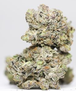 Purple Candy AA