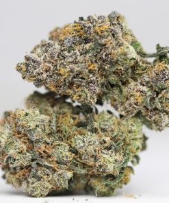 Acai Berry Gelato AA