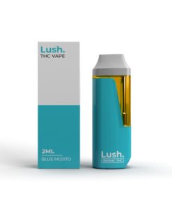 Lush Disposable Vape - Blue Mojito - 2G
