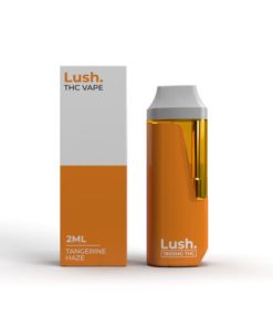 Lush Disposable Vape - Tangerine Haze - 2G