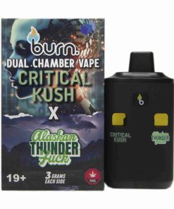 Burn Dual Chamber Disposable Vape – Critical Kush x Alaskan Thunder Fuck 6G