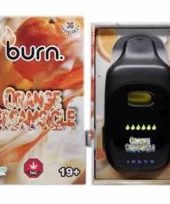 Burn Disposable Vapes - Orange Creamsicle 3ML