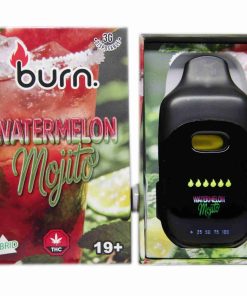 Burn Disposable Vapes - Watermelon Mojito 3ML