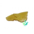 Concentrates
